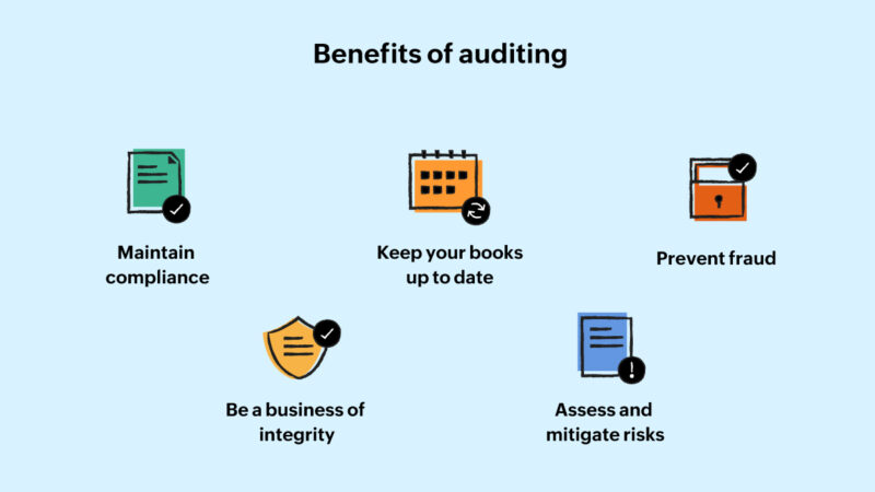 Main goal of audit
